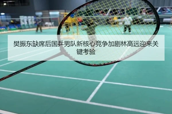 樊振东缺席后国乒男队新核心竞争加剧林高远迎来关键考验